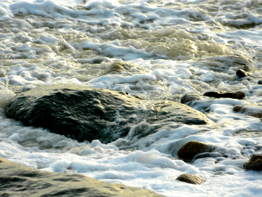 Rock in sea water