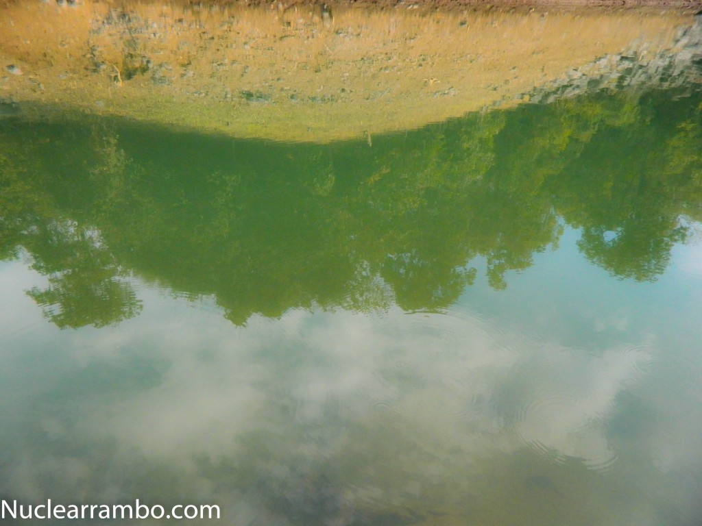 Reflection in still water at bhatsa reservoir