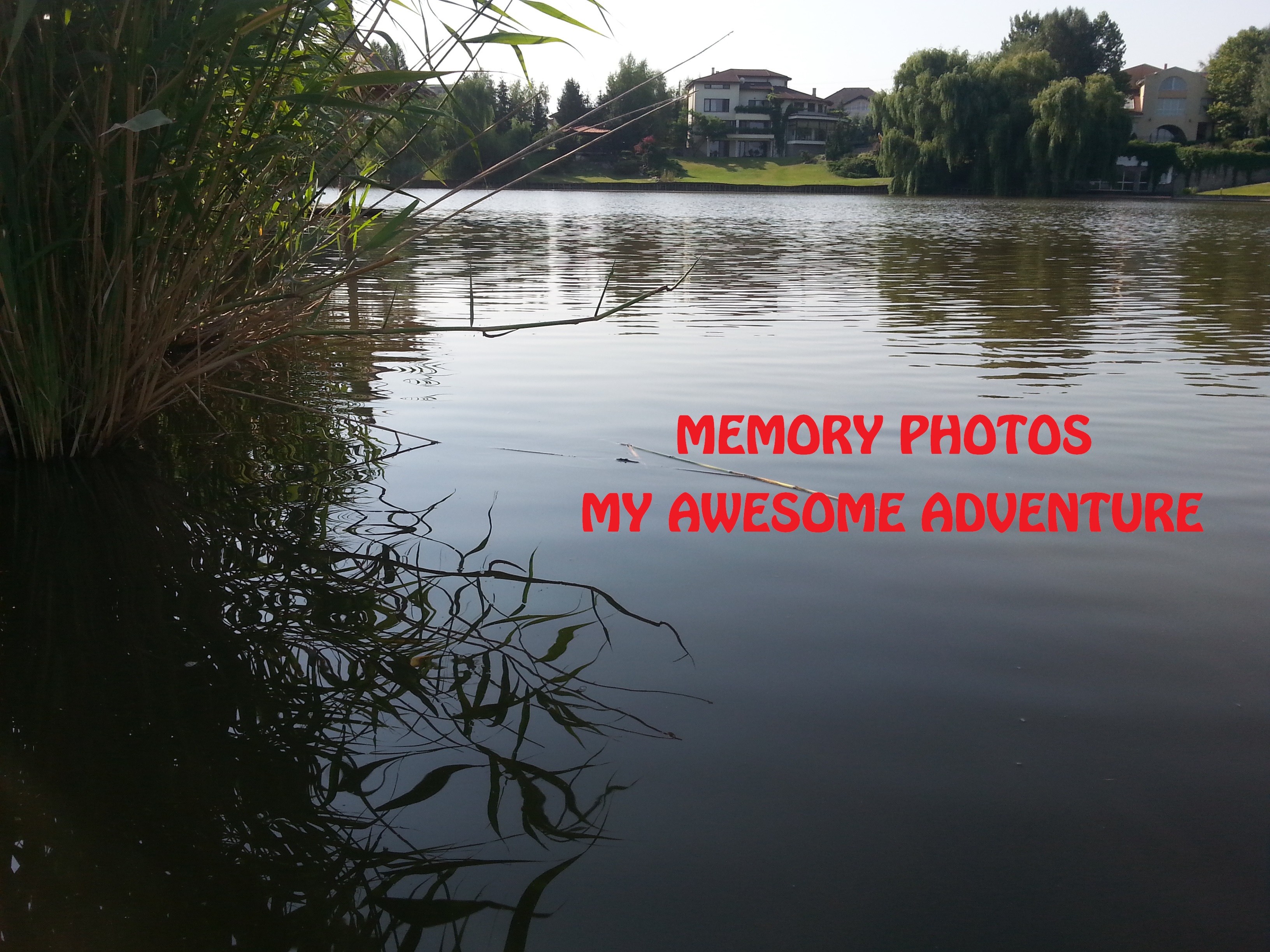 My Memory photos from summer